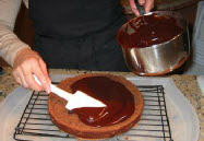 gianduia cake yz24